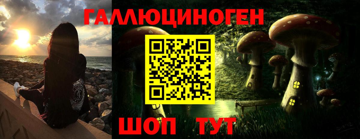 Псилоцибиновые грибы Psilocybe Магадан