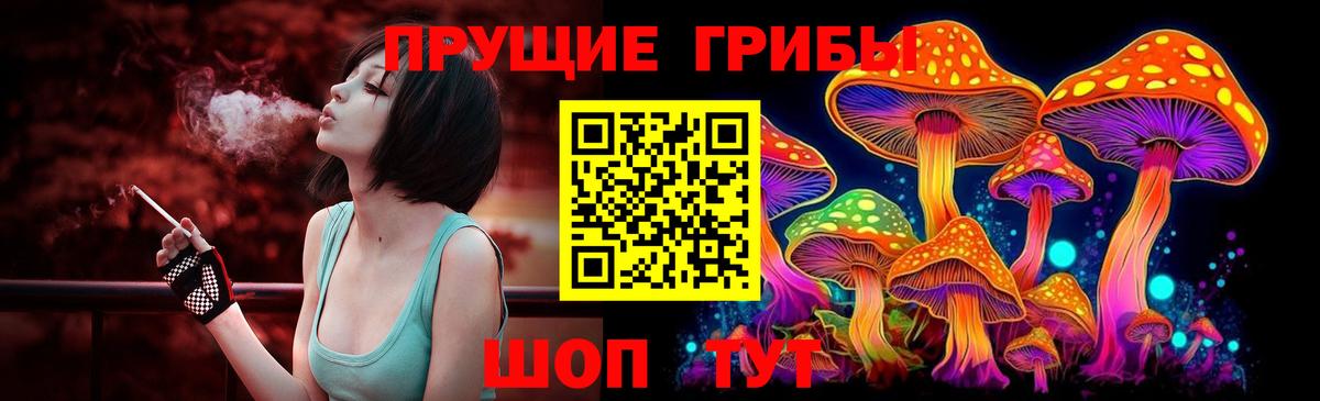 Галлюциногенные грибы Psilocybe  Вход с VPN  Магадан  наркотики  Галлюциногенные грибы Magic Shrooms 